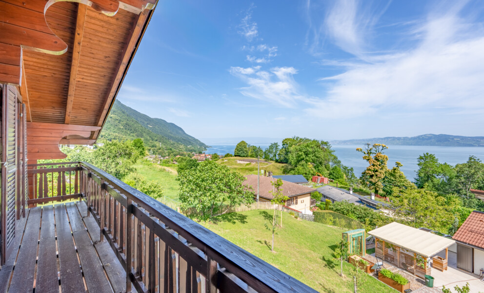 UN PANORAMA D'EXCEPTION SUR LE LÉMAN 