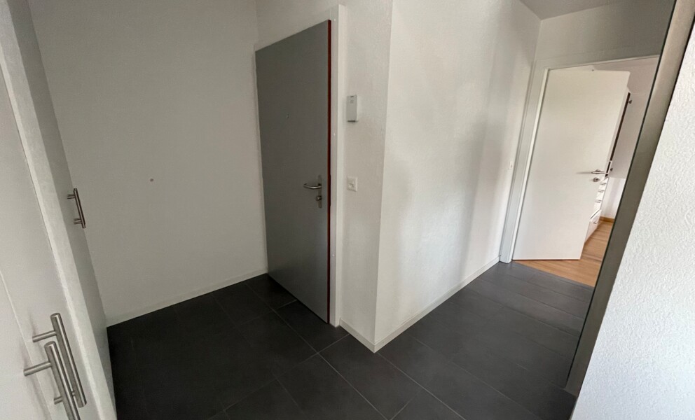 MAGNIFIQUE APPARTEMENT AVEC BALCON À 200M DU LAC