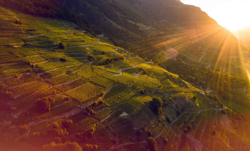 EXCLUSIVITE -  IMMEUBLE DE RENDEMENT DE 8 APPARTEMENTS SITUE A FULLY