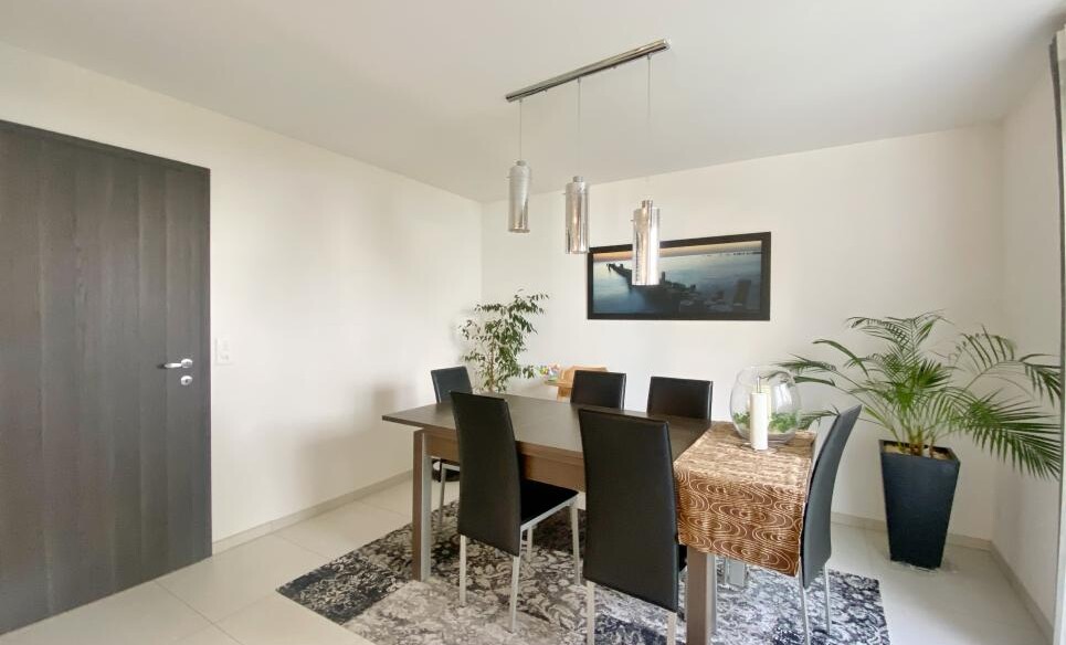 NOUVEAU PRIX ! BEAU TRIPLEX AVEC JARDIN