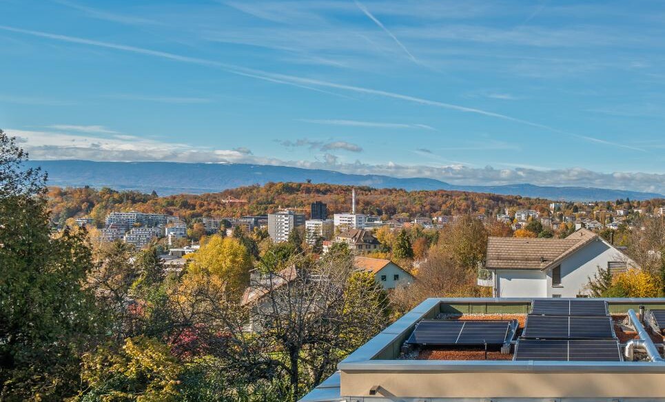 TOUT JUSTE LIVRÉES SUR LES HAUTS DE CHAILLY
