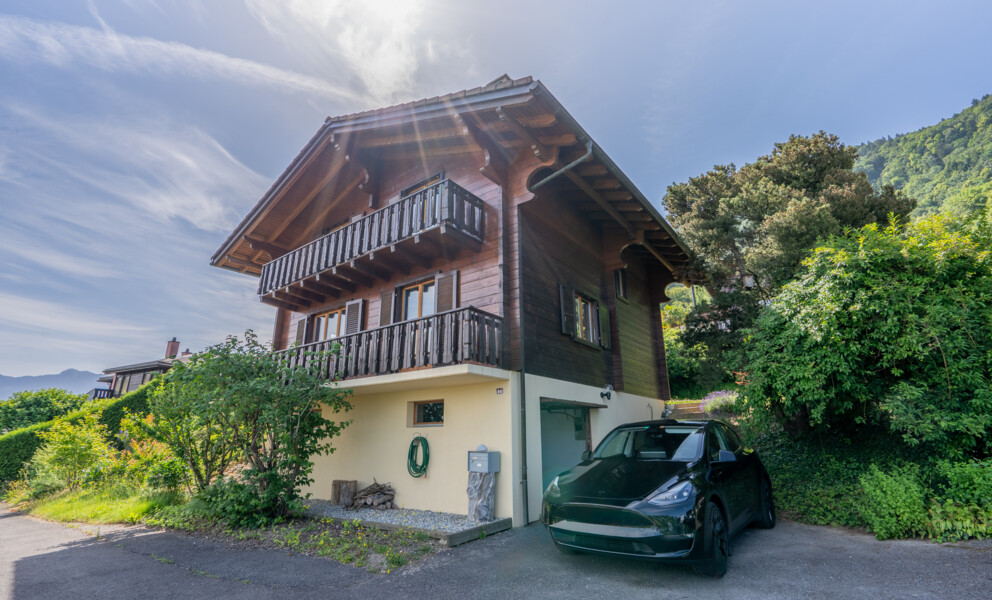 UN PANORAMA D'EXCEPTION SUR LE LÉMAN 