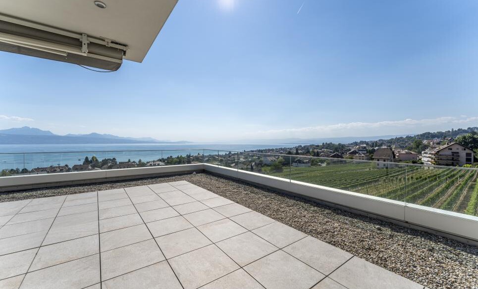 LE PLUS BEL ATTIQUE DE PULLY