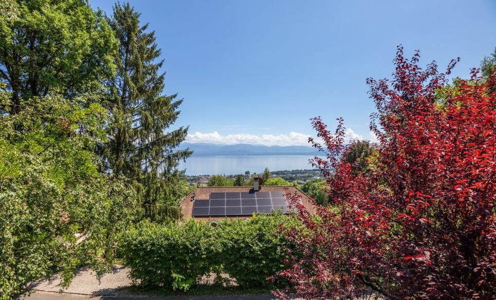 Superbe maison d'architecte!