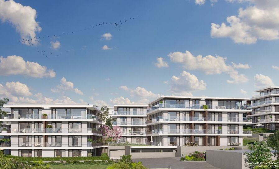 A SAISIR - 3.5 PIECES AVEC JARDIN - A PRILLY CENTRE