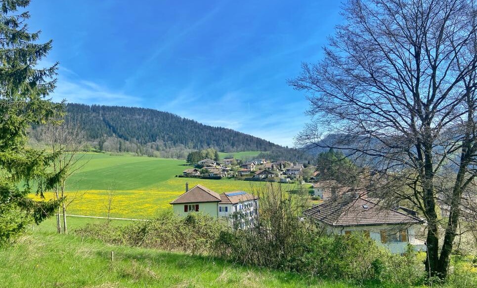 CHANTIER EN COURS ! SUPERBE VILLA AU COEUR D'UN ECRIN DE VERDURE