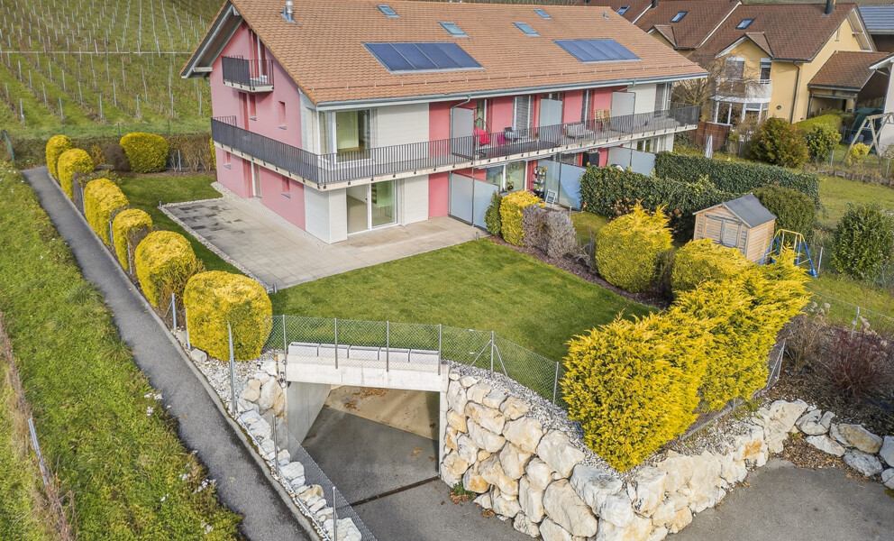 HARMONIE ET CONFORT AU COEUR DES VIGNES