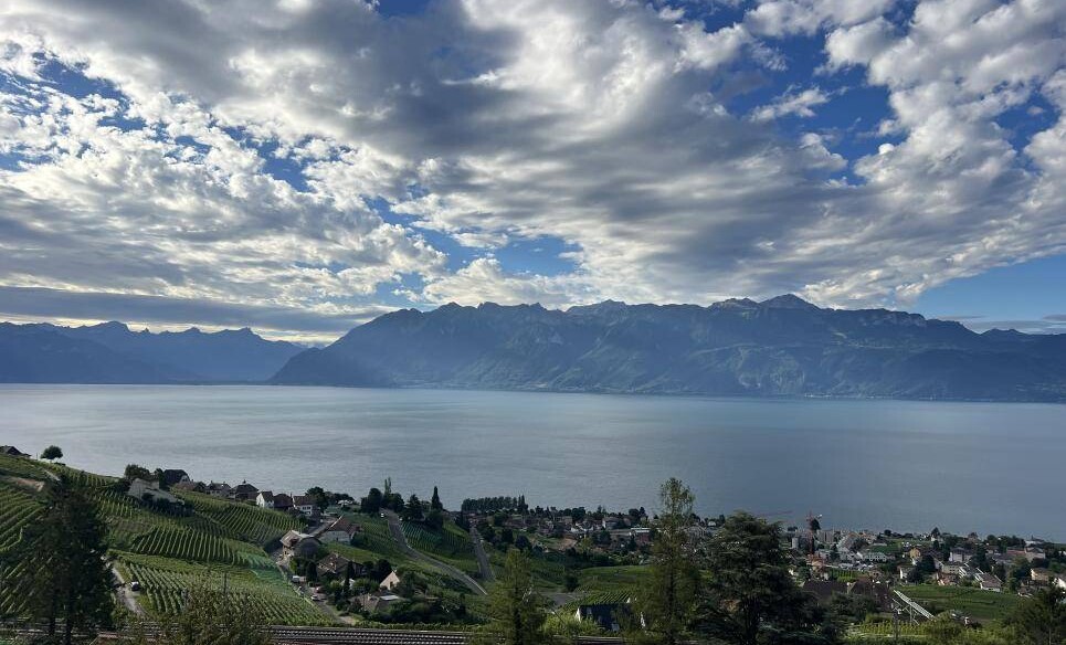 EN EXCLUSIVITÉ CHEZ PROXIMMO