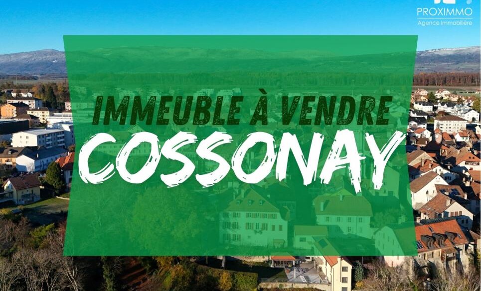 IMMEUBLE REFAIT A NEUF 4.7% NET