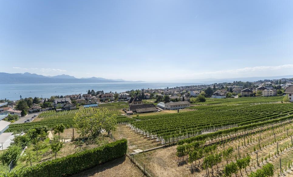 LE PLUS BEL ATTIQUE DE PULLY