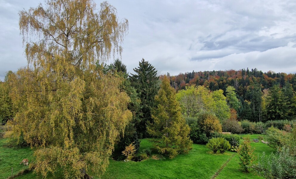 Superbe demeure plurifamiliale comprenant trois appartements