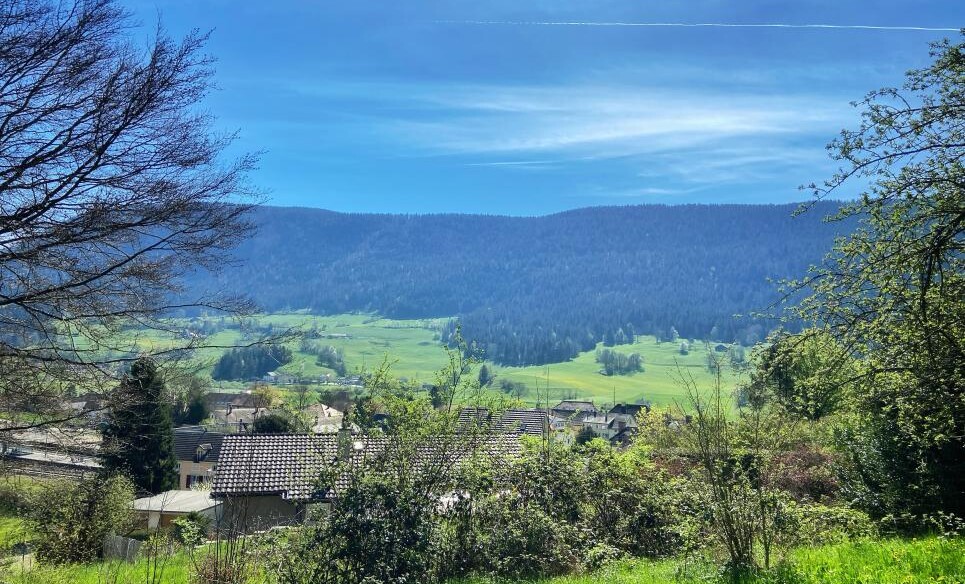 CHANTIER EN COURS ! SUPERBE VILLA AU COEUR D'UN ECRIN DE VERDURE