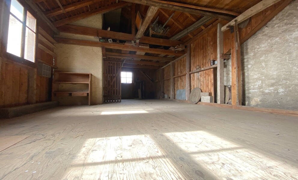 BELLE MAISON FAMILIALE DE DEUX APPARTEMENTS AVEC GRAND JARDIN 