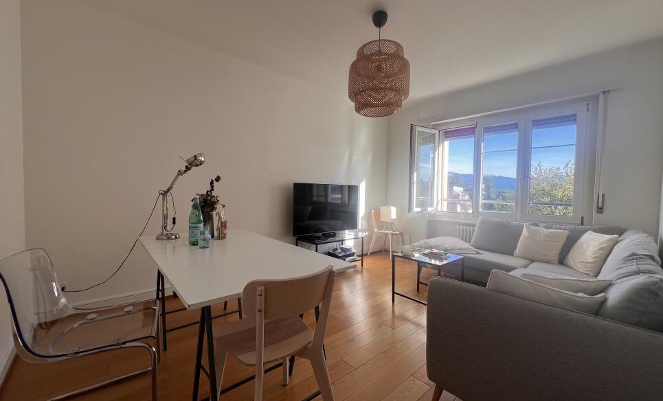 UN BIEN LUMINEUX ET RENOVE!