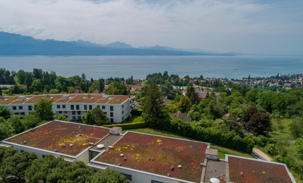 SPLENDIDE VUE SUR LE LAC DANS UN ÉCRIN DE VERDURE