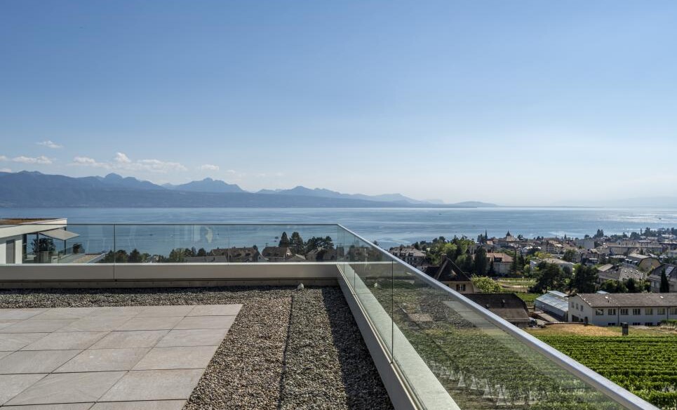 LE PLUS BEL ATTIQUE DE PULLY