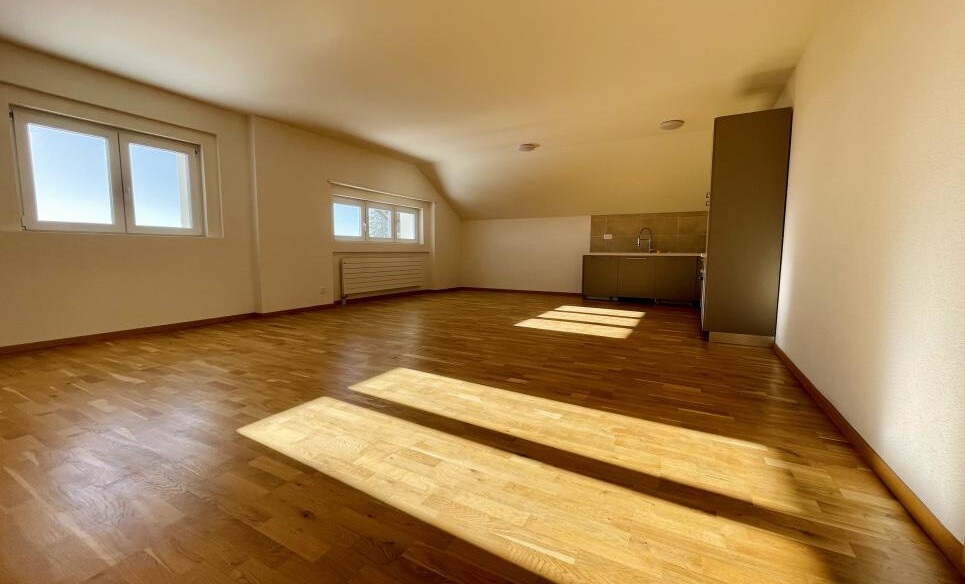 UNIQUE ! SPLENDIDE LOGEMENT AU COEUR DE LA NATURE !