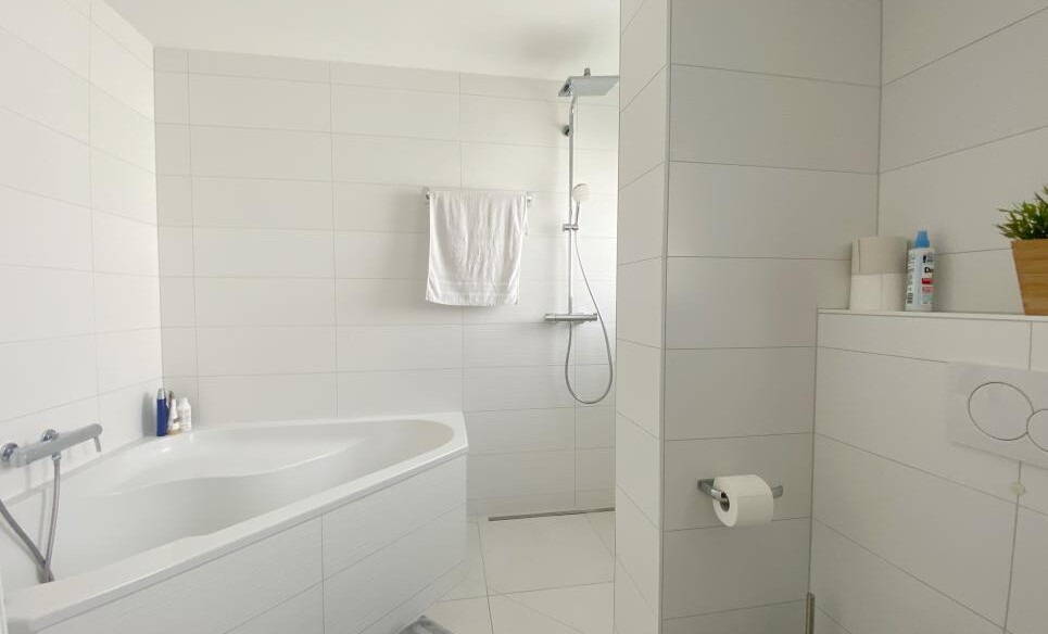 NOUVEAU PRIX ! BEAU TRIPLEX AVEC JARDIN