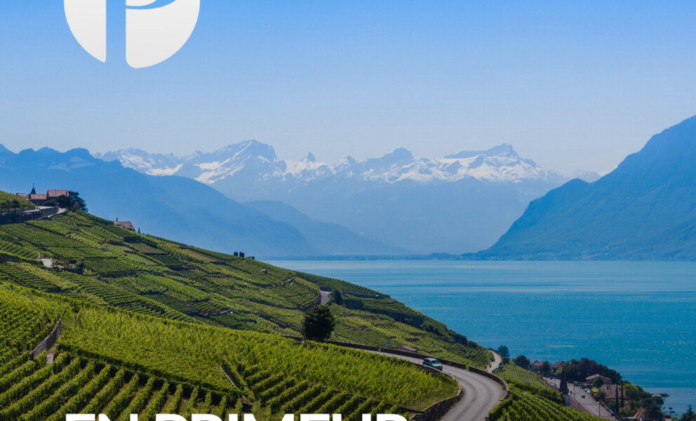 LUXUEUSE PROPRIÉTÉ AVEC LE LAC COMME HORIZON