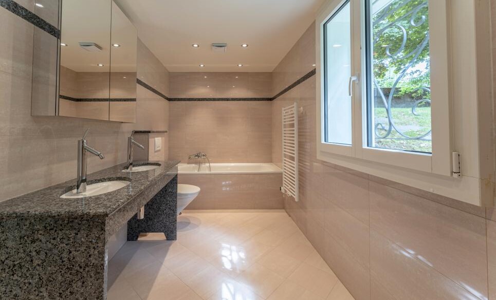 MAGNIFIQUE PROPRIETE PROCHE DE LAUSANNE