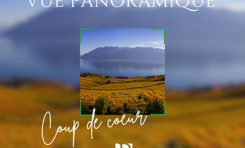 Vue spectaculaire et confort moderne à Genolier