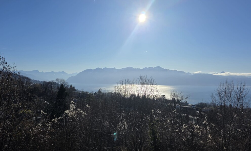 En parfaite symbiose avec le Léman