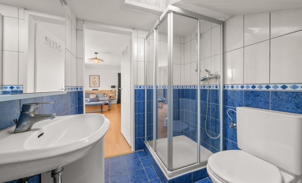 VILLA FAMILIALE AVEC PISCINE AU COEUR DE LUCENS