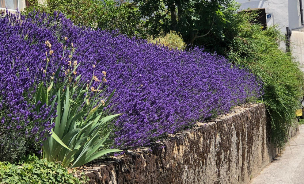 CALME / SITUATION PRISÉE