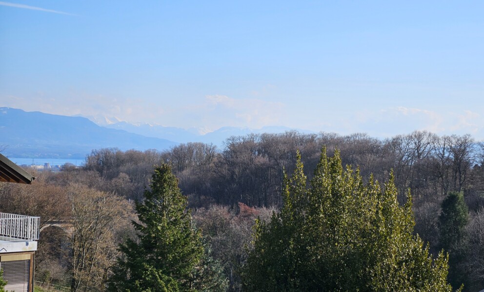 PROXIMITÉ IMMÉDIATE DE NYON 