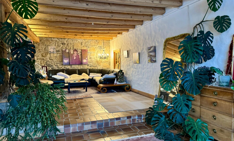 Superbe demeure plurifamiliale comprenant trois appartements