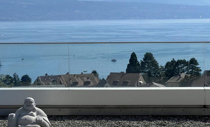 LE PLUS BEL ATTIQUE DE PULLY