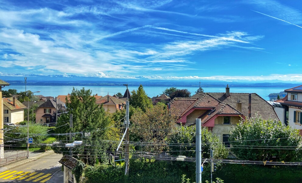 OBJET D'EXCEPTION ! SOMPTUEUSE MAISON DE MAÎTRE