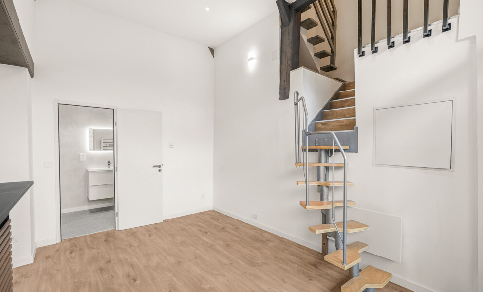 DUPLEX DE CHARME ENTIÈREMENT RÉNOVÉ