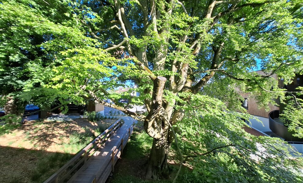 L'impossible rendu possible ! Duplex neufs dans une oasis de verdure à deux pas du M2