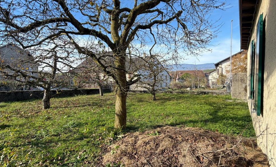 Maison de charme ancien et beau potentiel